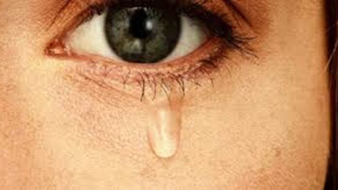 Vera, Cathy, and Charley, those wonderful girls at The Girls Café