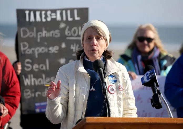 cindy Z Clean Ocean Action 6 Dead Whales