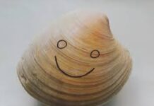 Happy as a clam