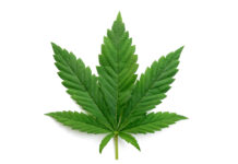 pot