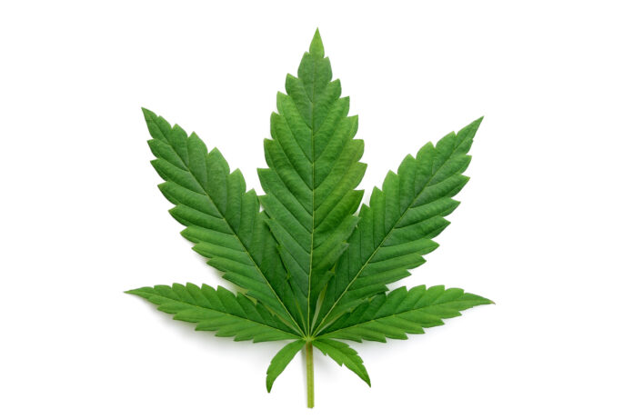 pot