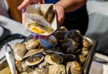 14th Annual Taste of Highlands