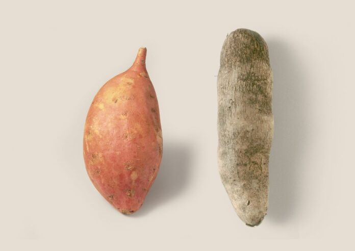 Yam or Sweet Potato