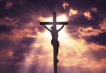You Are Forgiven forgiven